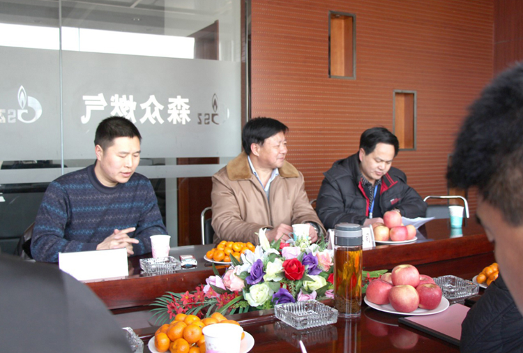 林口县政府与半岛手机站·网站在线官网-半岛(中国)   燃气项目洽谈.png